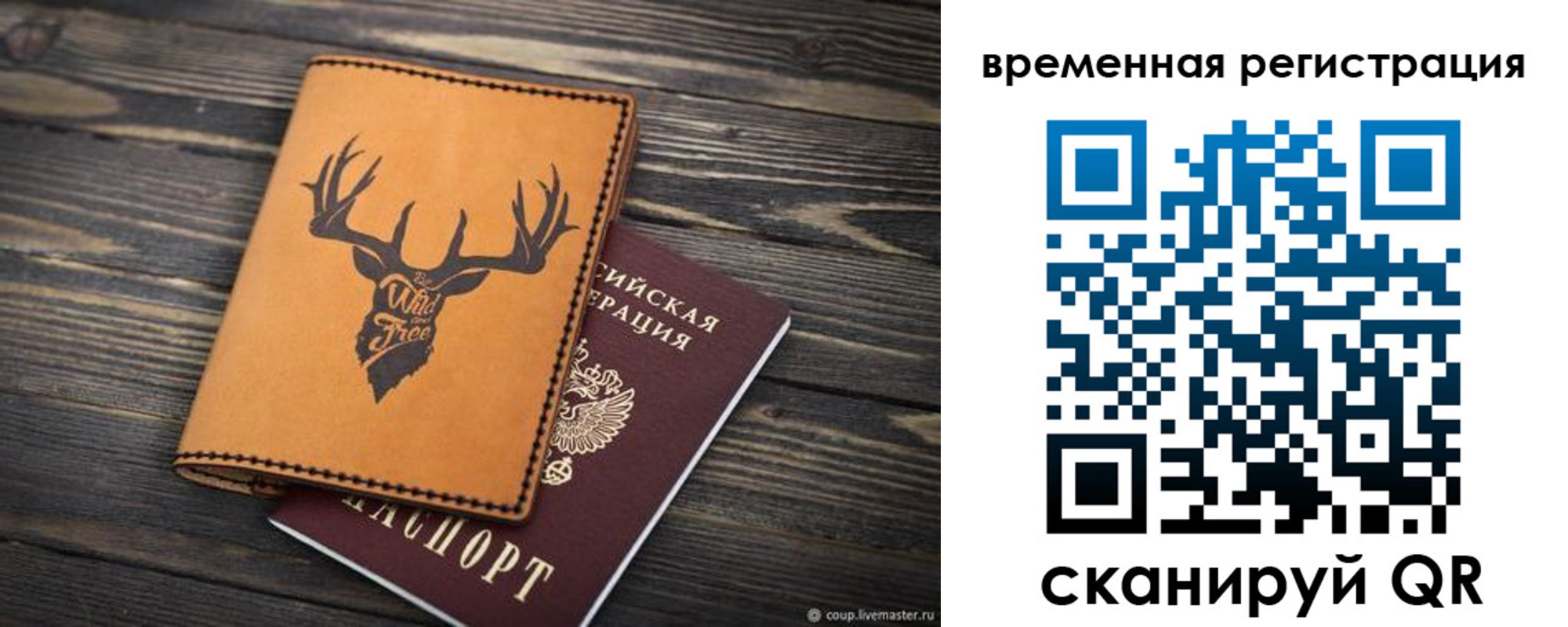прописка в Ельне
